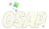 GSAP Image